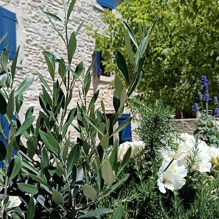 Namaste Home, Votre Havre De Paix A St Remy ! Parking Wifi Inclus Saint-Rémy-de-Provence 외부 사진