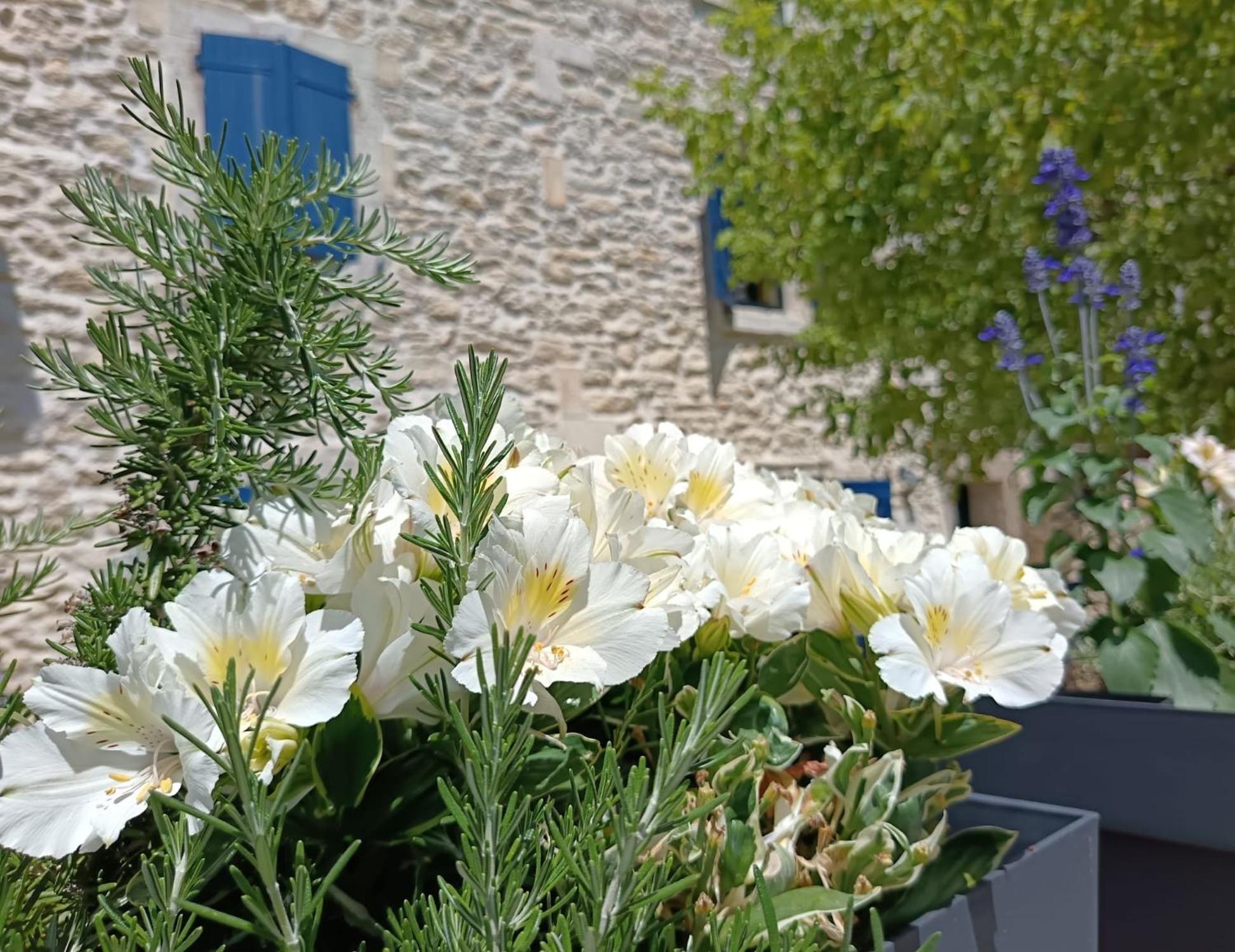 Namaste Home, Votre Havre De Paix A St Remy ! Parking Wifi Inclus Saint-Rémy-de-Provence 외부 사진